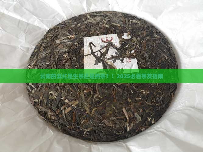 云南的滇红是生茶还是熟茶