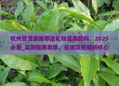 杭州普洱茶推荐送礼物是真的吗
