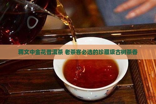 蒋文中金花普洱茶