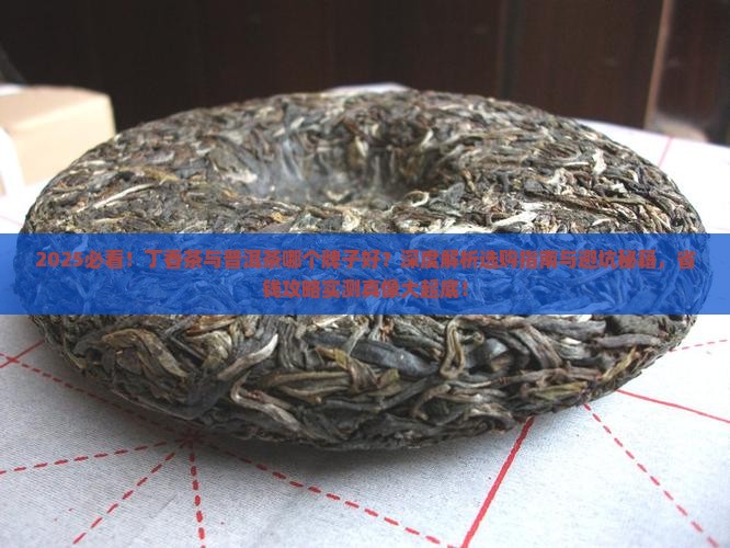 丁香茶与普洱茶那个牌子好