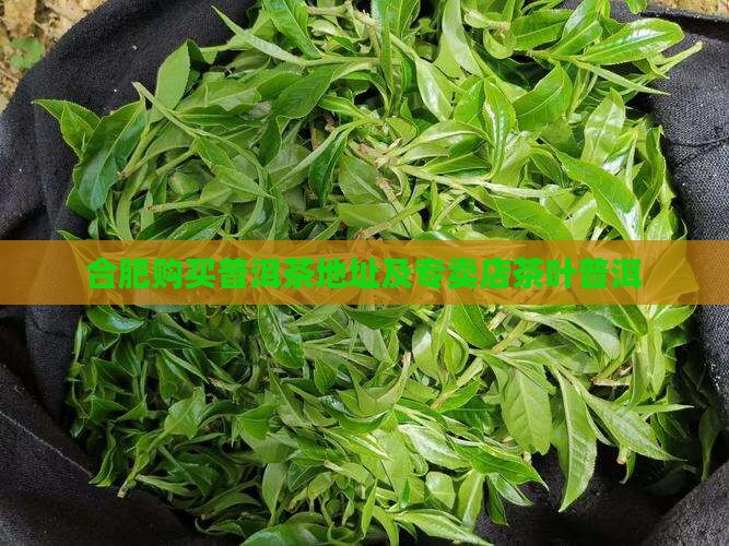 合肥购买购普洱茶地方在那