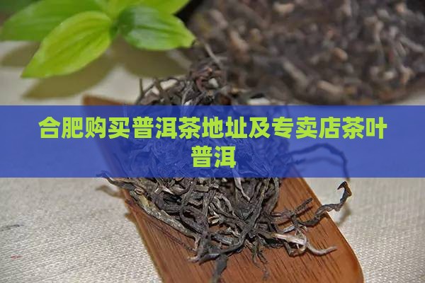 合肥购买购普洱茶地方在那