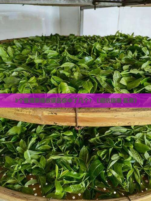 普洱茶摆放禁忌