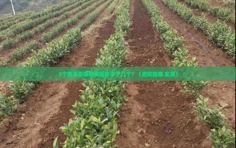 普洱茶摆放禁忌