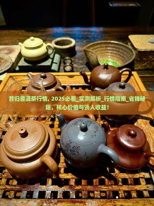 昔归普洱茶行情