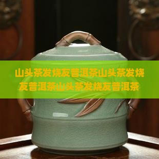 山头茶发烧友普洱茶