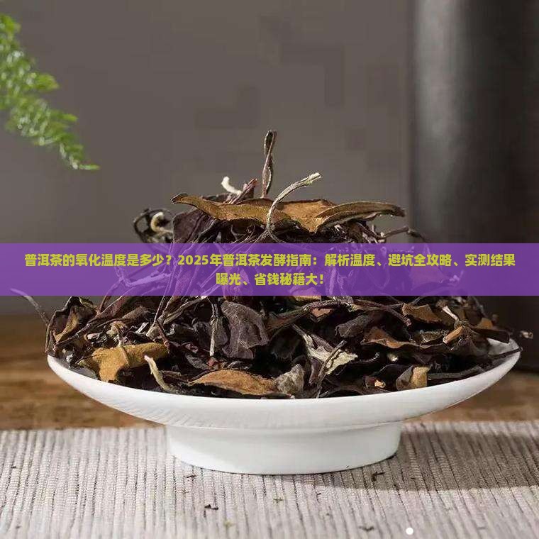 普洱茶的最佳氧化温度是多少