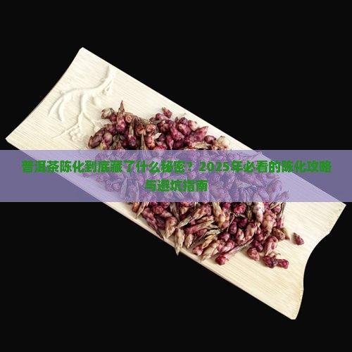 普洱茶陈化方向