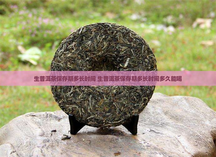 生普洱茶保存期多长时间