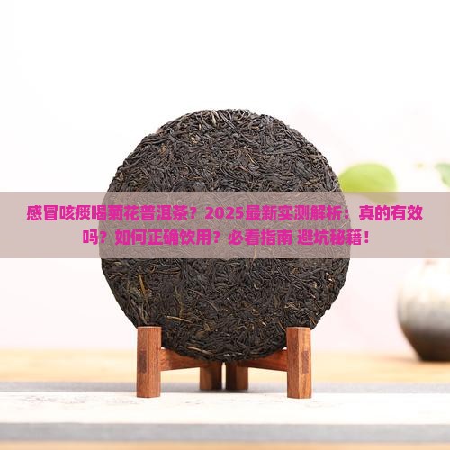感冒咳痰喝菊花普洱茶