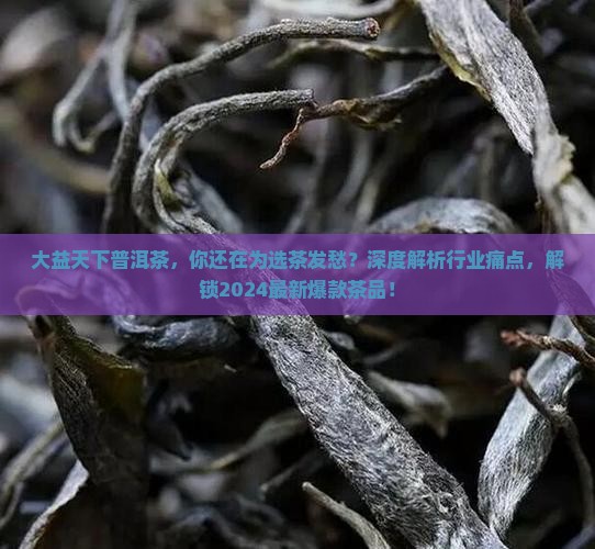 大益天下普洱茶官网