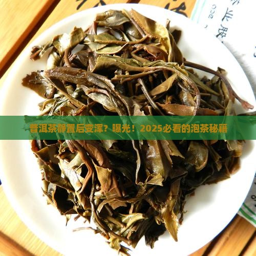 普洱茶静置变浑