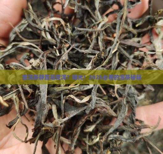 普洱茶静置变浑