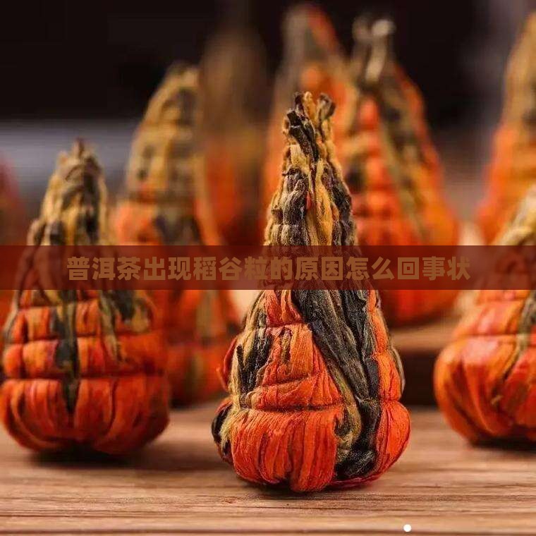 普洱茶出现稻谷粒