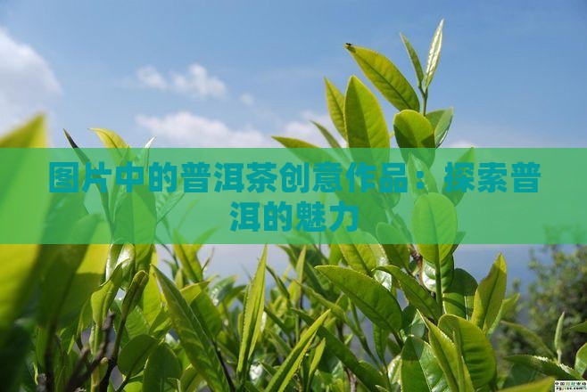 普洱茶创意作品