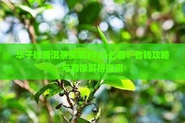 华子牌普洱茶怎么样