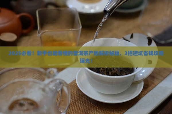 怎么分辨普洱茶产地是哪里
