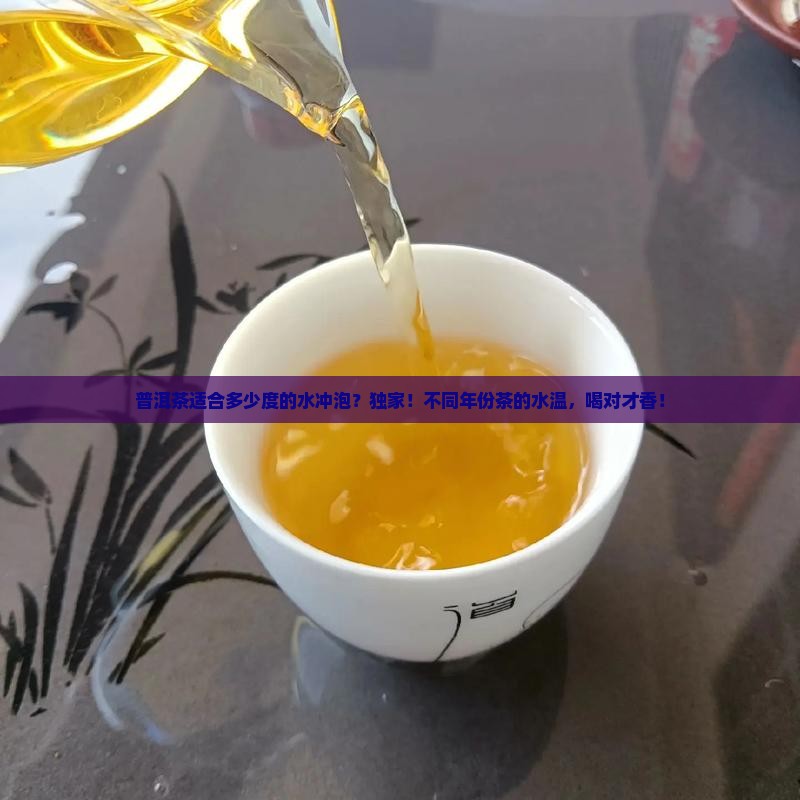 普洱茶适合多少度的水冲泡
