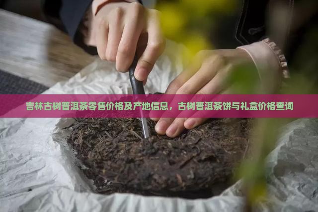 吉林古树普洱茶零售