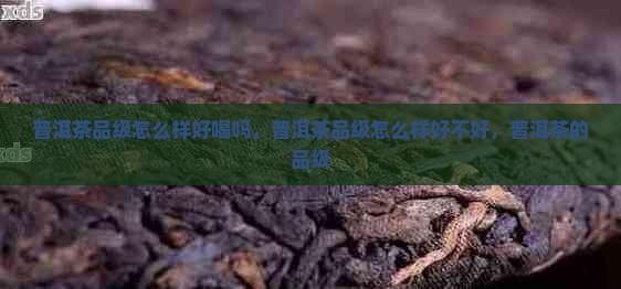 普洱茶品级怎么样