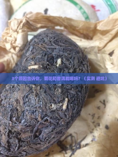 菊花和普洱可以喝吗