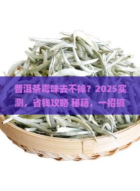 去除普洱茶霉味