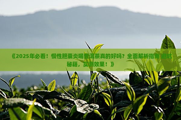 慢性胆囊炎喝普洱茶