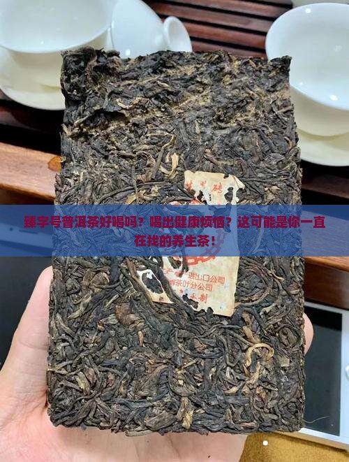 臻字号普洱茶好喝吗
