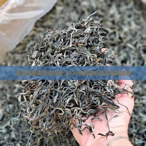 真古树普洱生茶价格