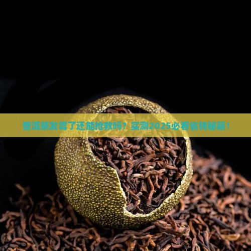 普洱茶一小粒发霉能喝吗