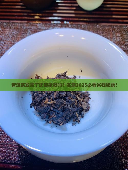 普洱茶一小粒发霉能喝吗
