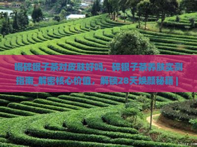 喝碎银子茶对皮肤好吗