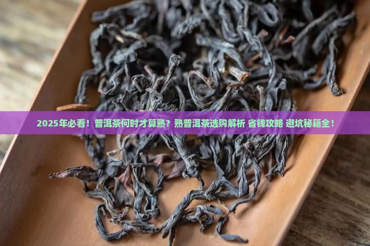 什么时候才有熟普洱茶