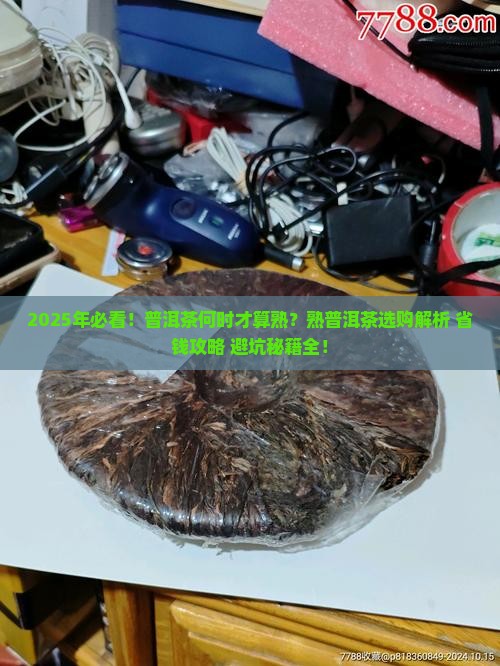 什么时候才有熟普洱茶