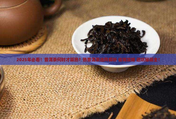 什么时候才有熟普洱茶