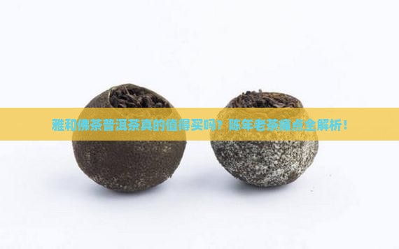雅和佛茶普洱茶