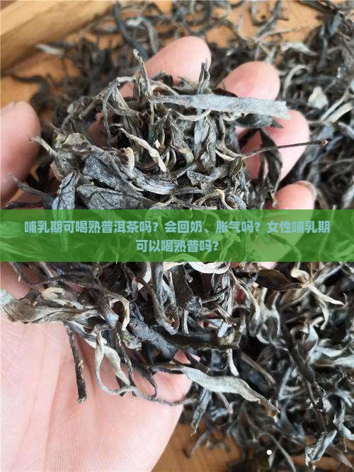 哺乳期可喝熟普洱茶吗