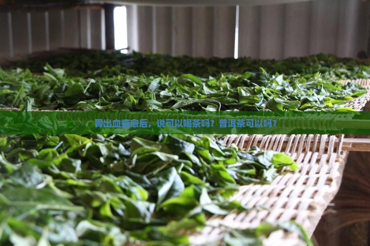 胃出血痊愈后能喝普洱茶吗