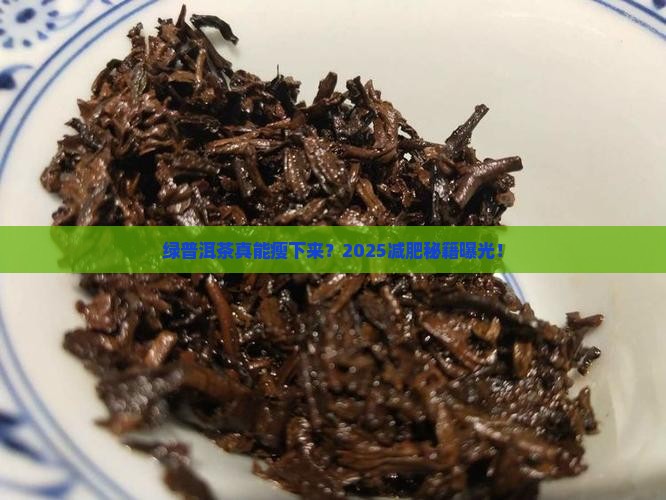 绿普洱茶可以减肥吗