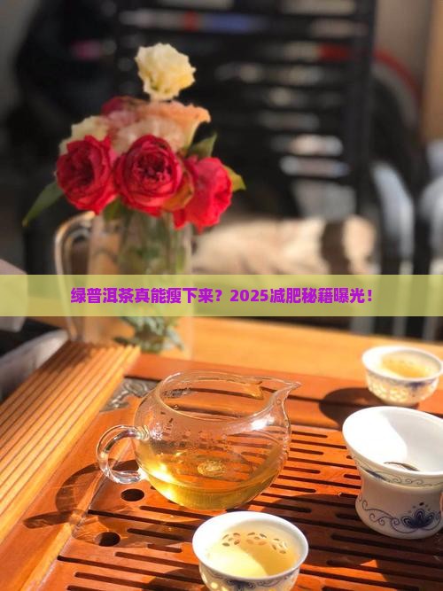 绿普洱茶可以减肥吗