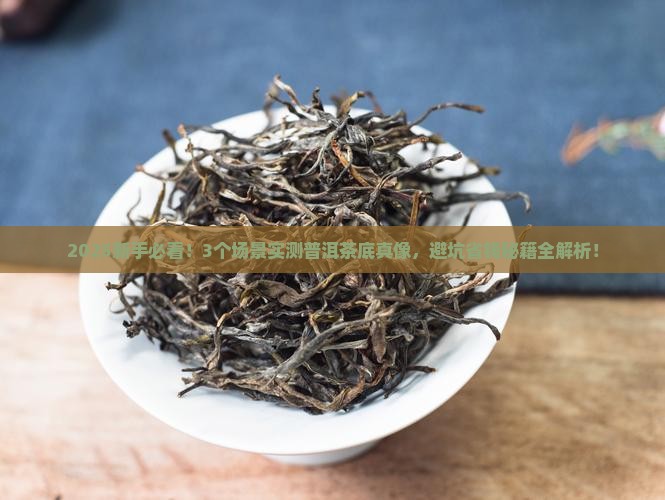 怎么分辨普洱茶茶底和茶底