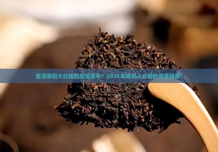 普洱茶跟大红袍功效与作用