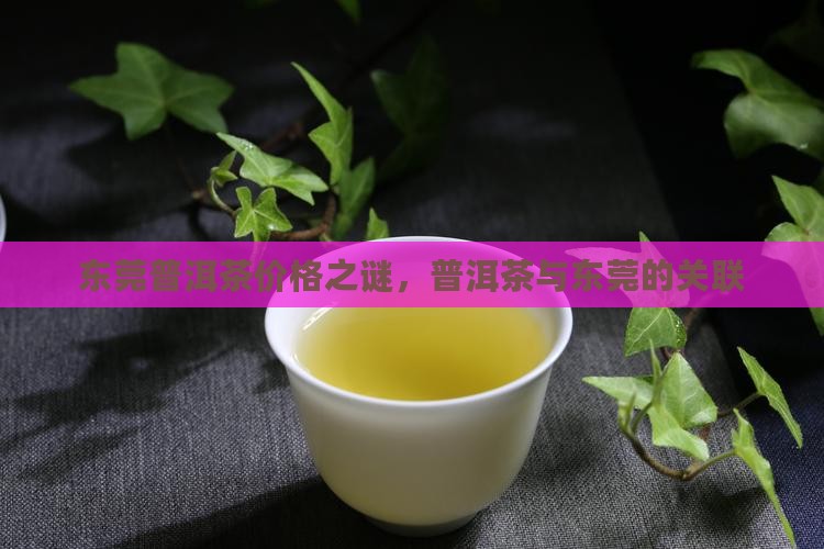 东莞迷思普洱茶