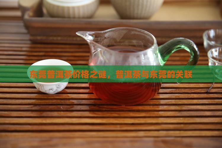 东莞迷思普洱茶
