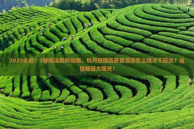 牡丹玫瑰陈皮普洱茶