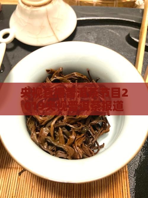 央视直播普洱茶节目2019央视普洱茶报道