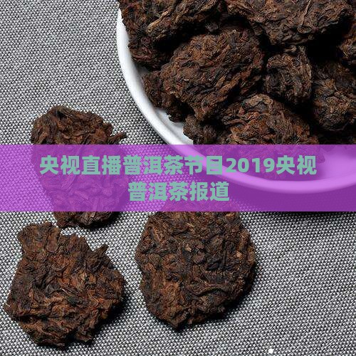 央视直播普洱茶节目2019央视普洱茶报道