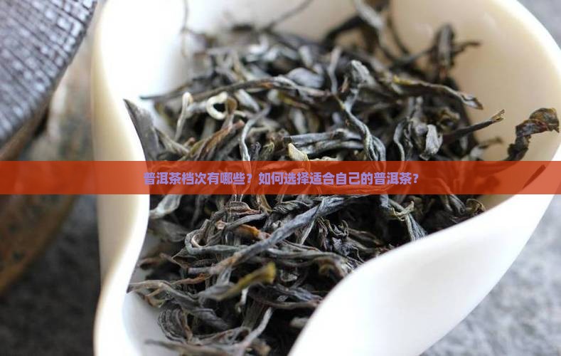 普洱茶档次有哪些？如何选择适合自己的普洱茶？