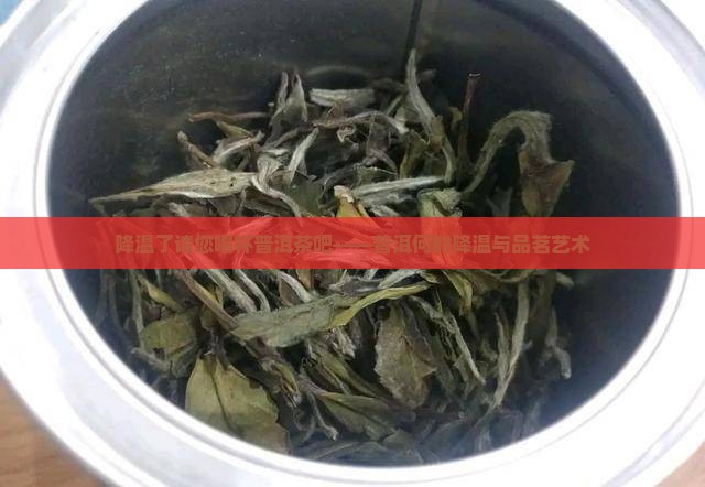 降温了请您喝杯普洱茶吧——普洱何时降温与品茗艺术