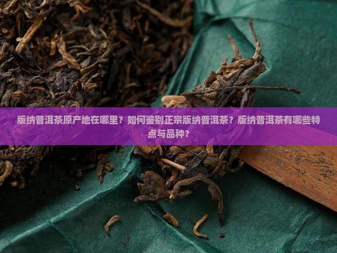 版纳普洱茶原产地在哪里？如何鉴别正宗版纳普洱茶？版纳普洱茶有哪些特点与品种？
